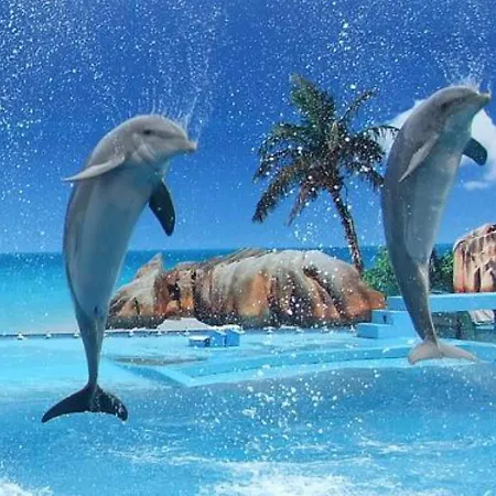 Lovely 1-bedroom In Olhos De Agua * 阿尔布费拉